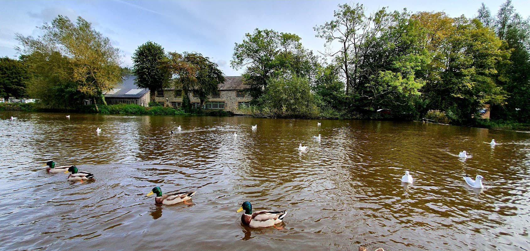 Globe Holidays - Travel Agents in barnsley