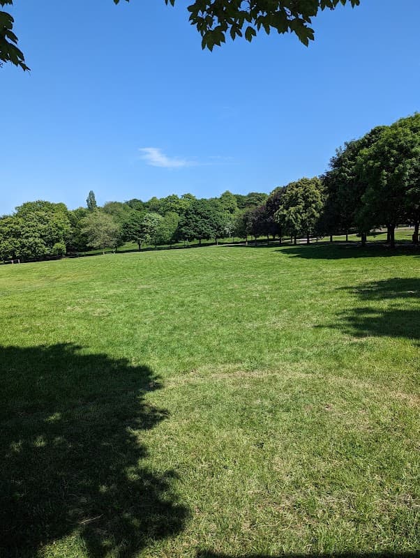 Green grassy field with trees lining the edges under a clear blue sky at Locke Park Car Park in Barnsley, Yorkshire.