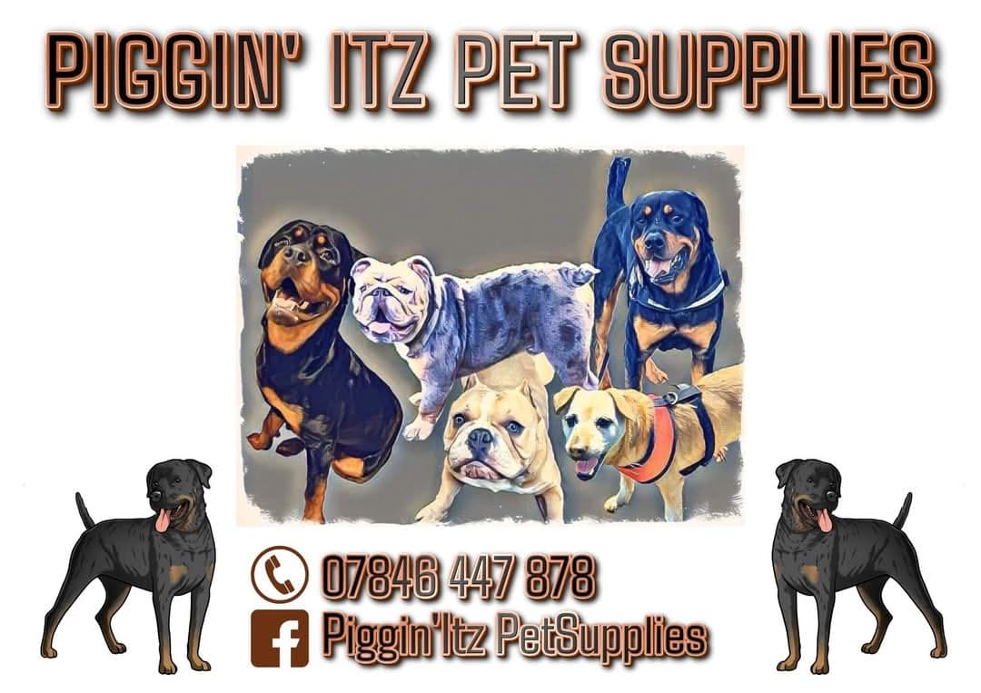 Piggin'Itz Pet Supplies - Pet Shops in barnsley