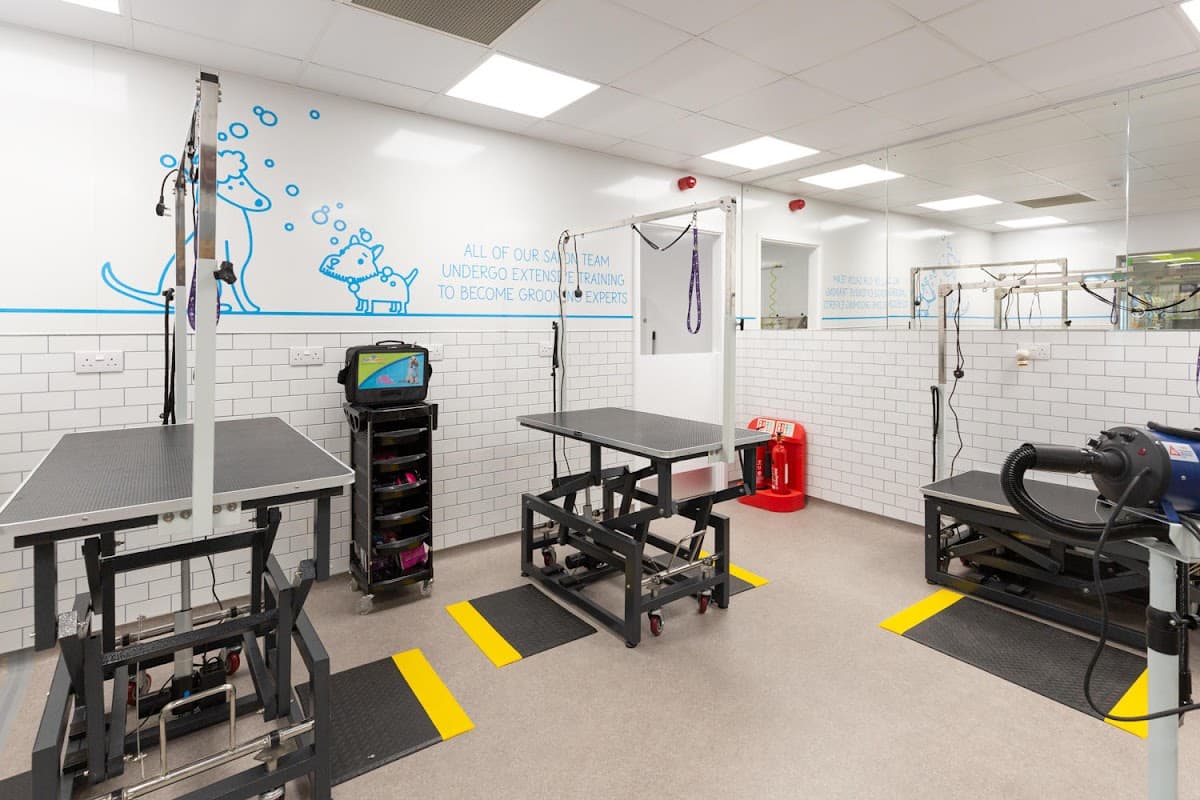 The Groom Room Barnsley - Pet Shops in barnsley