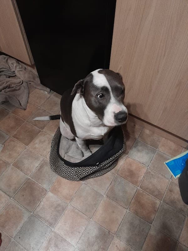 Blackburn Road Medical Centre - Doctors in batley