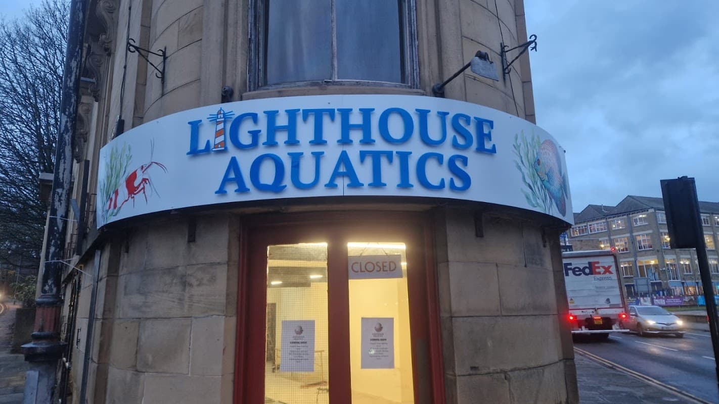 Lighthouse Aquatics - Pet Shops in batley