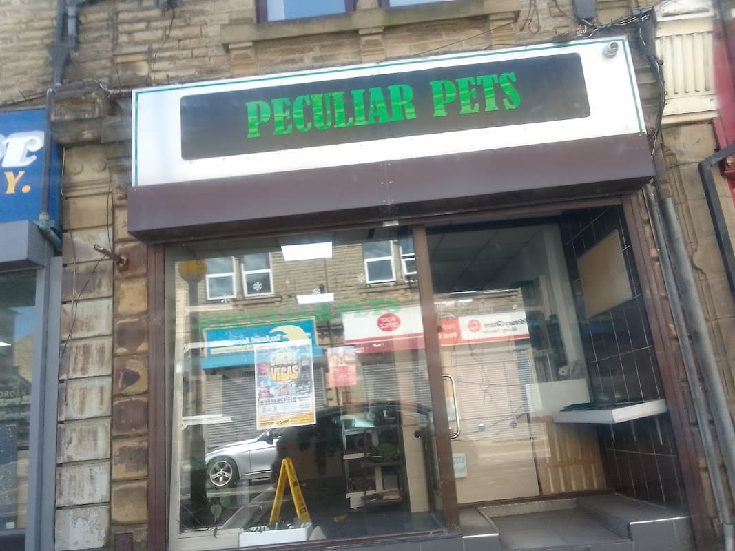 Peculiar Pets - Pet Shops in batley
