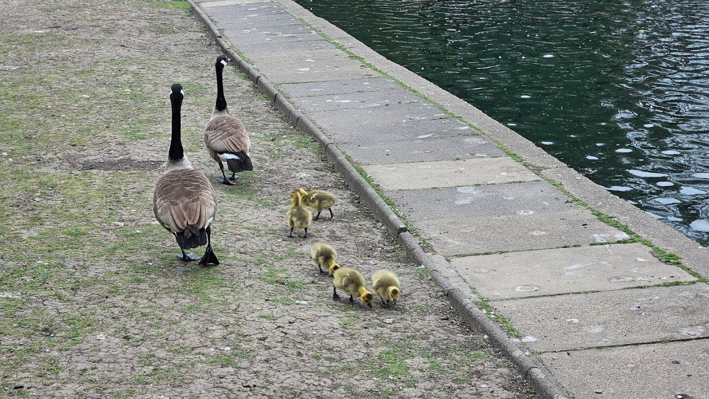 Wilton Park Playground