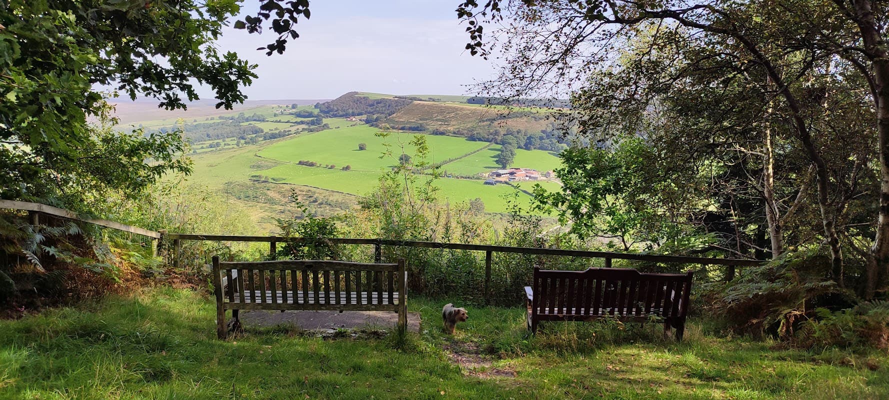 Two wooden benches overlook a lush green valley with rolling hills, framed by trees and a clear blue sky.
