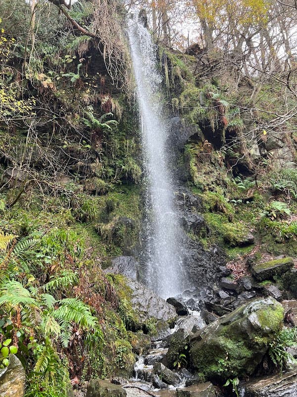 Mallyan Spout Waterfall cascading down rocky terrain, surrounded by lush greenery and autumn foliage.