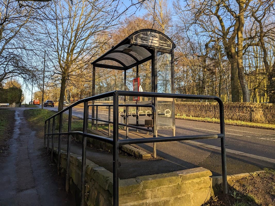Bus stop shelter with a ramp, surrounded by trees and a stone wall, on a quiet road in Harlow Grange Park.