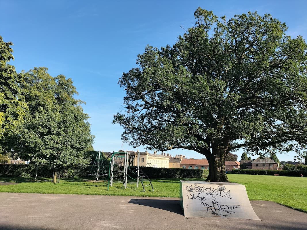 Children's playground with a large tree, climbing frame, and a skate ramp under a clear blue sky in Bedale, Yorkshire.
