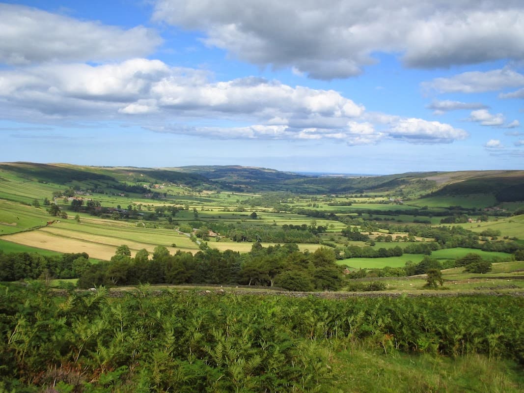 Robin Jessop Ltd Bedale - Estate Agents in bedale