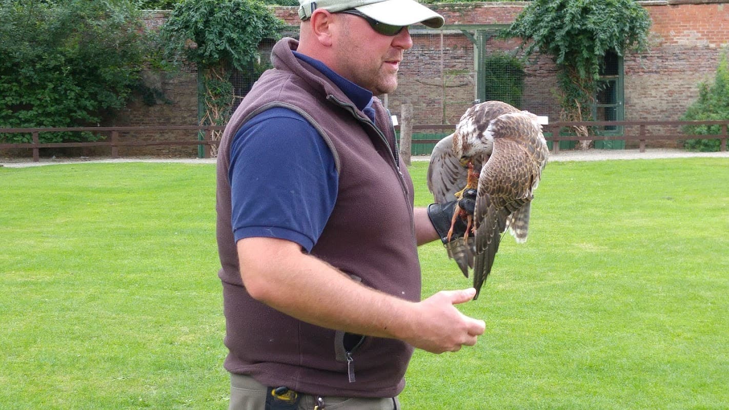 Thorpe Perrow Squash Club - Sports Venue in bedale