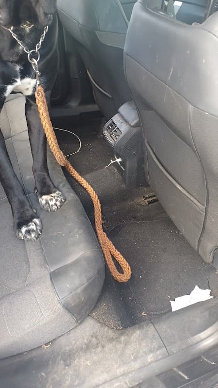 Hand Car Wash And Valeting - Car Washes in beeston