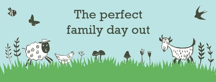 Beetle Bank Open Farm