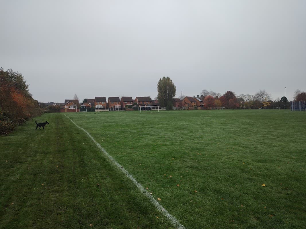 Spacious green field with a dog walking along the edge, surrounded by residential houses under a gray sky.