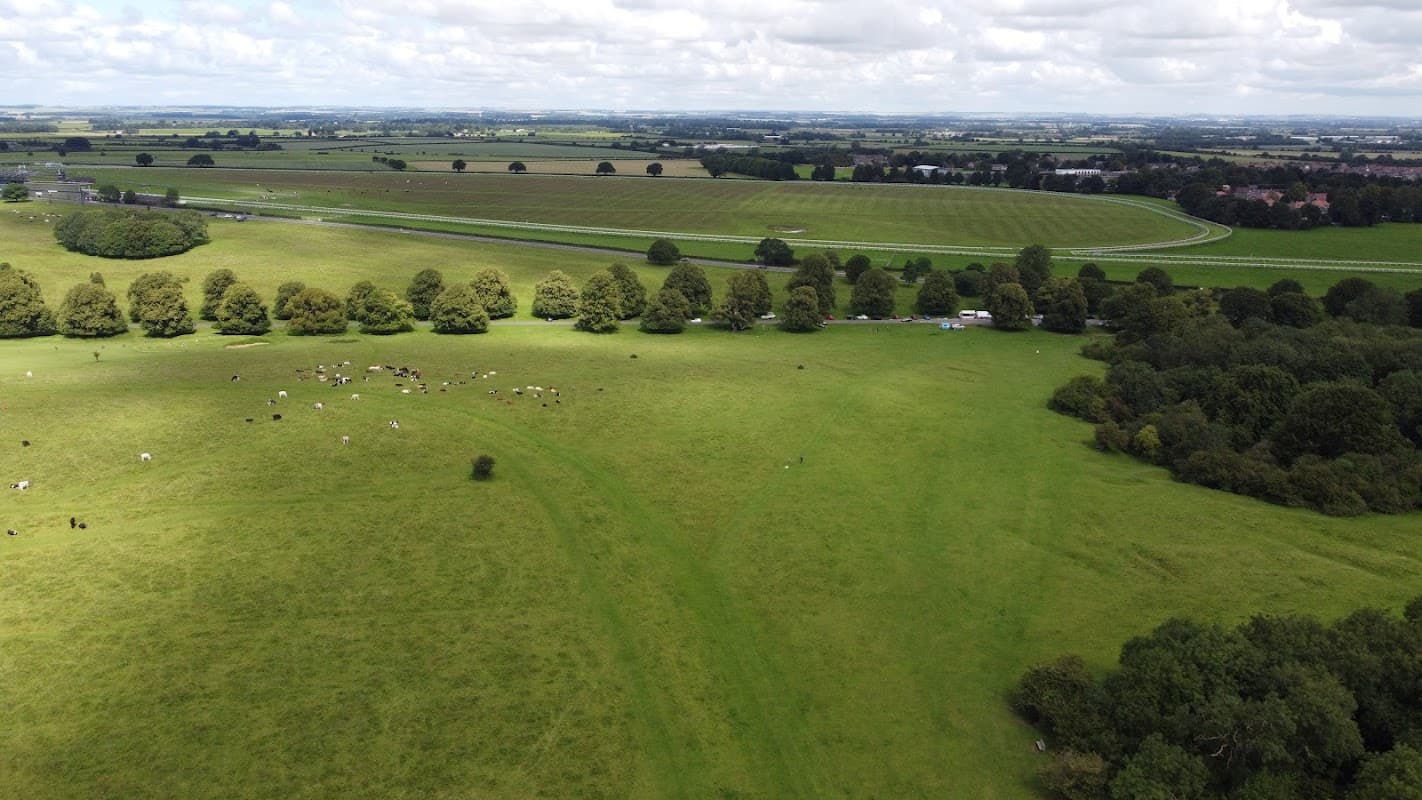 Expansive green fields with grazing cows, bordered by trees and distant hills under a cloudy sky.