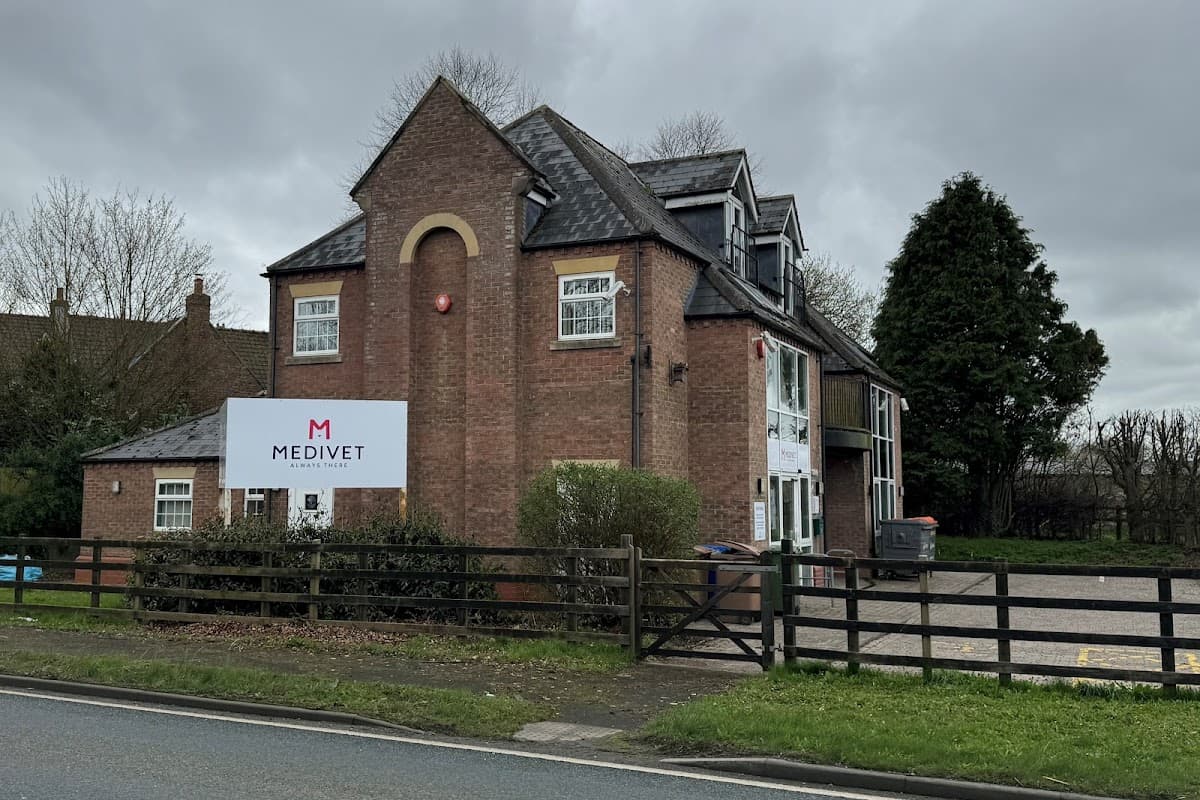Medivet Beverley - Vets in beverley