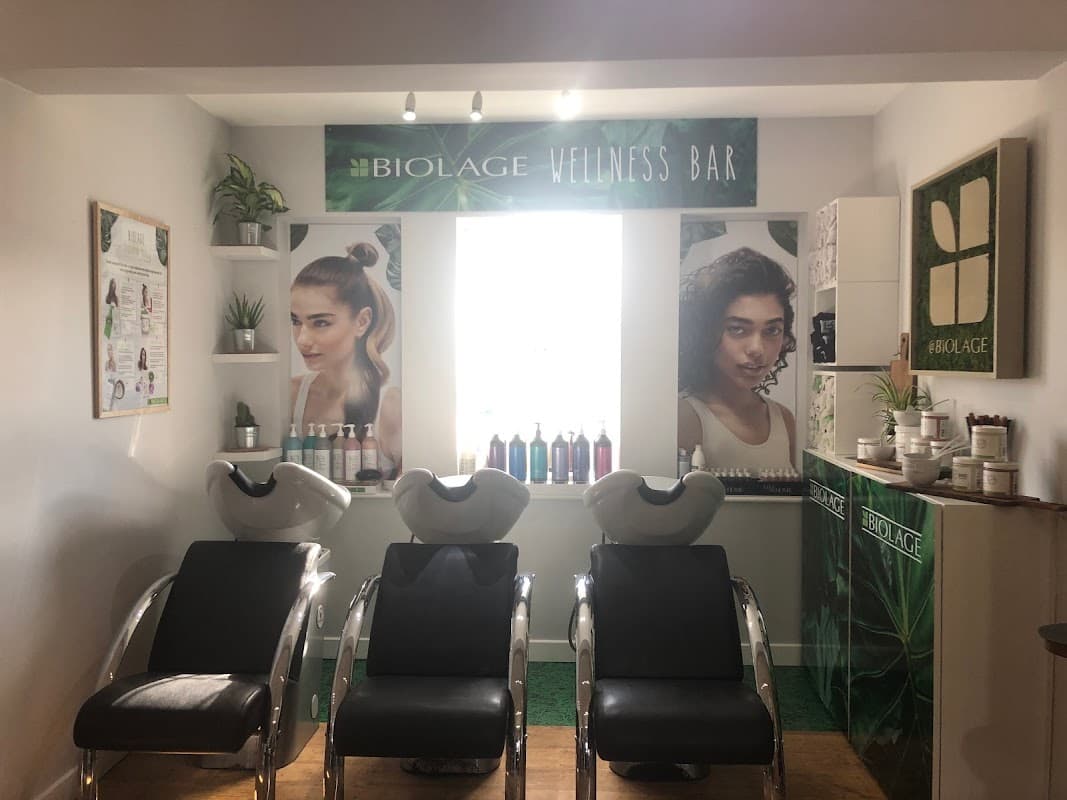 Salon 55 - Hair Salons in beverley