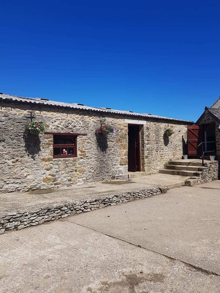Bilsdale Riding Centre - Activity in laskill