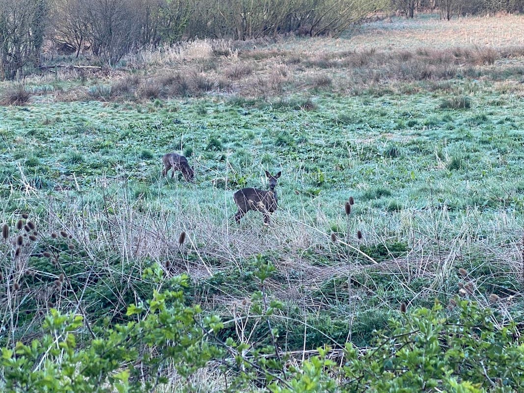 Bingley North Bog - Park in bingley