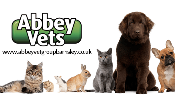 Abbey Vets - Vets in bolsterstone ewden village