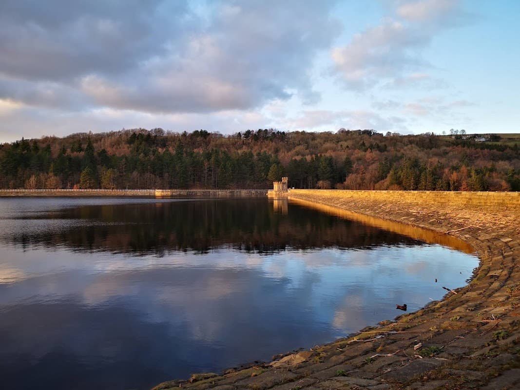 Morehall Reservoir Plantation - Walks & Hiking in bolsterstone ewden village