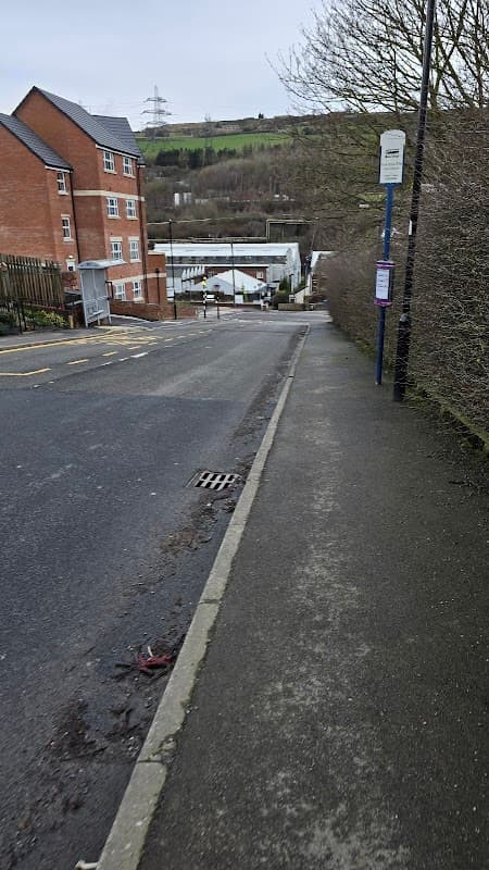 Street view of Park Drive Way/Paterson Close, featuring a quiet road, residential buildings, and a bus stop.
