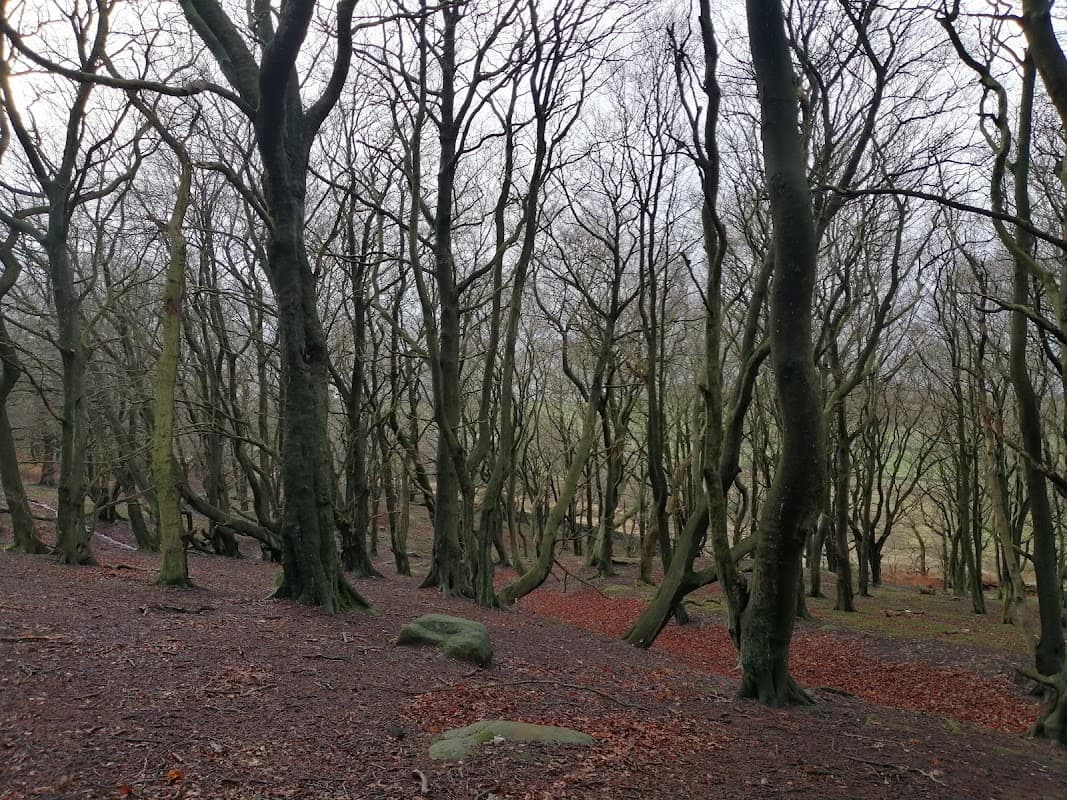 Whitwell Moor - Park in bolsterstone ewden village