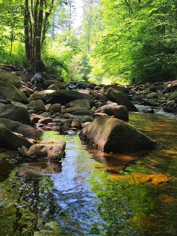 Yew Trees Lane & Wood - Park in bolsterstone ewden village