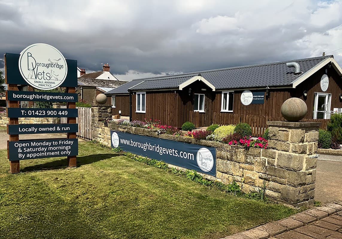 Boroughbridge Vets - Vets in boroughbridge