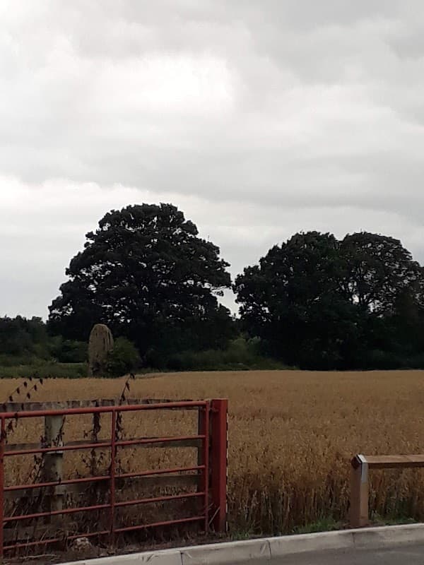 Bus Stop at Druids Meadow - Bus Stops in boroughbridge
