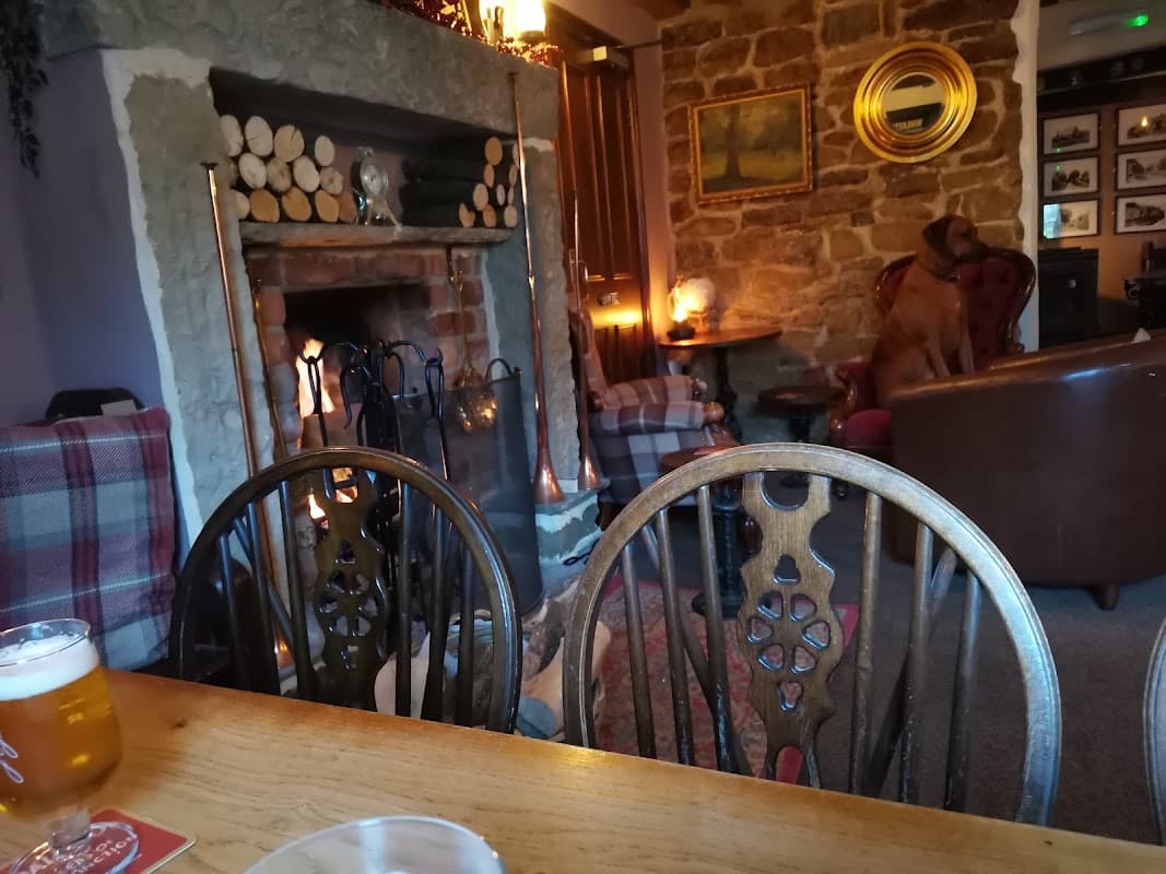Cozy bar interior with a stone fireplace, wooden chairs, a beer on the table, and a dog lounging in an armchair.