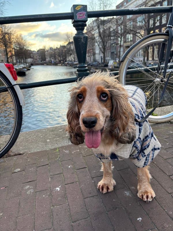 Oakbank Veterinary Services - Vets in bradford