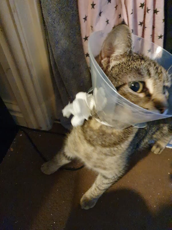 Sage Veterinary Group - Vets in bradford