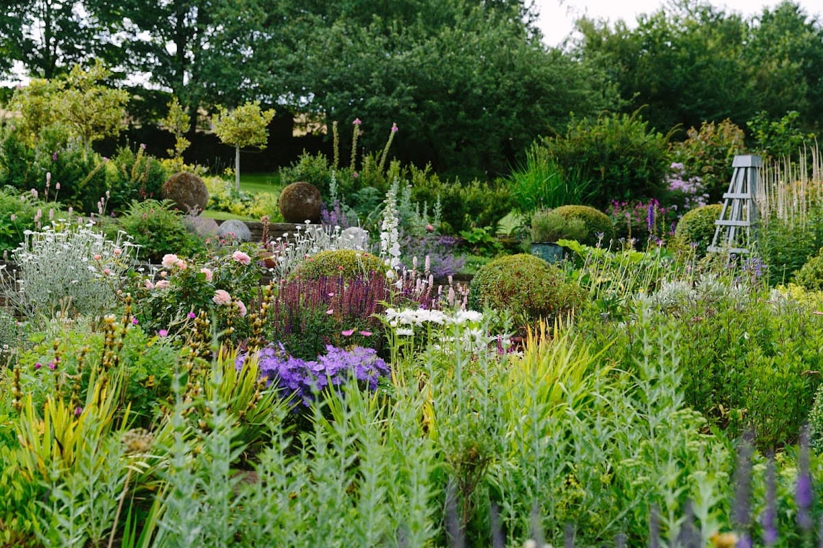 Lush garden filled with colorful flowers, greenery, and decorative topiaries at The Yorkshire Dales Flower Company.
