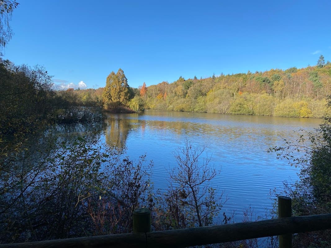 Serene lake surrounded by autumn foliage under a clear blue sky, with reflections on the water's surface.