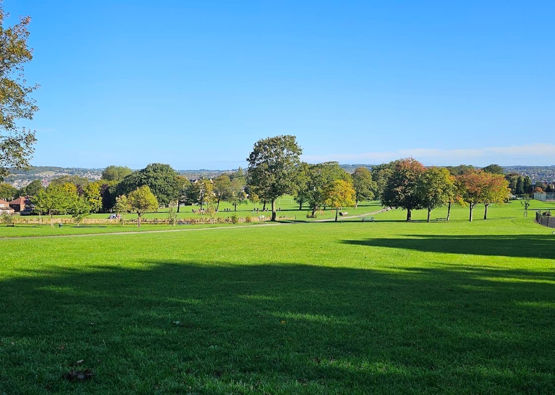 Spacious green park with trees, clear blue sky, and distant hills, inviting for outdoor activities and relaxation.