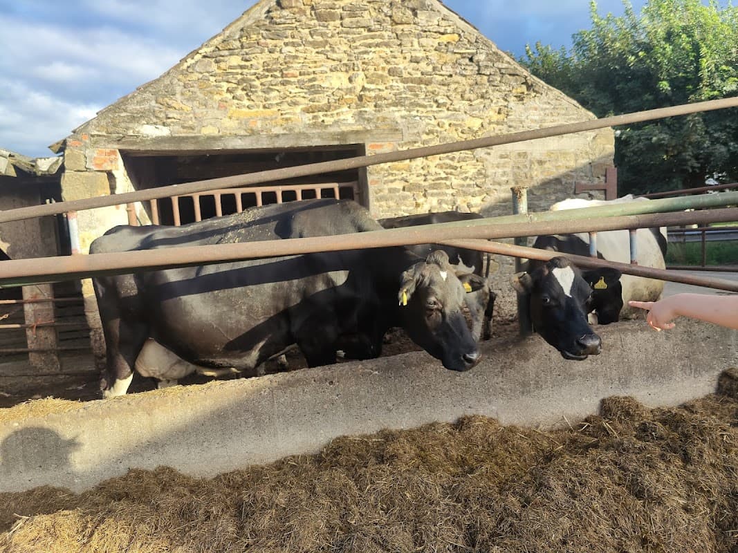 Cows in a barn with a stone structure, surrounded by hay and green trees under a partly cloudy sky.
