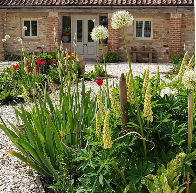 Charming cottage with stone walls, a green door, and vibrant flower beds featuring tall plants and colorful blooms.