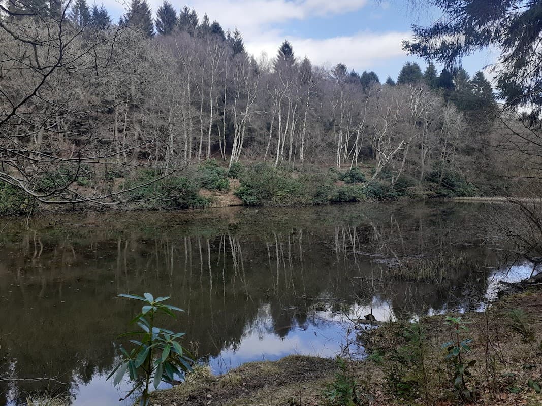 Serene lake reflecting trees and shrubs, surrounded by a wooded area at Yearsley Woods Car Park in Yorkshire.
