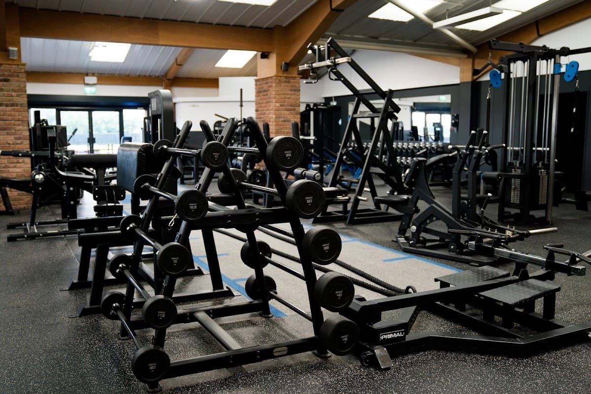 Modern gym interior featuring various weightlifting equipment and free weights in a spacious layout.