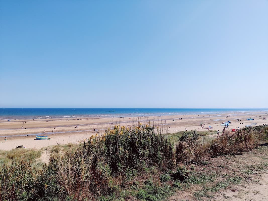 Expansive sandy beach with people enjoying the sun, colorful umbrellas, and a clear blue sky over the sea.