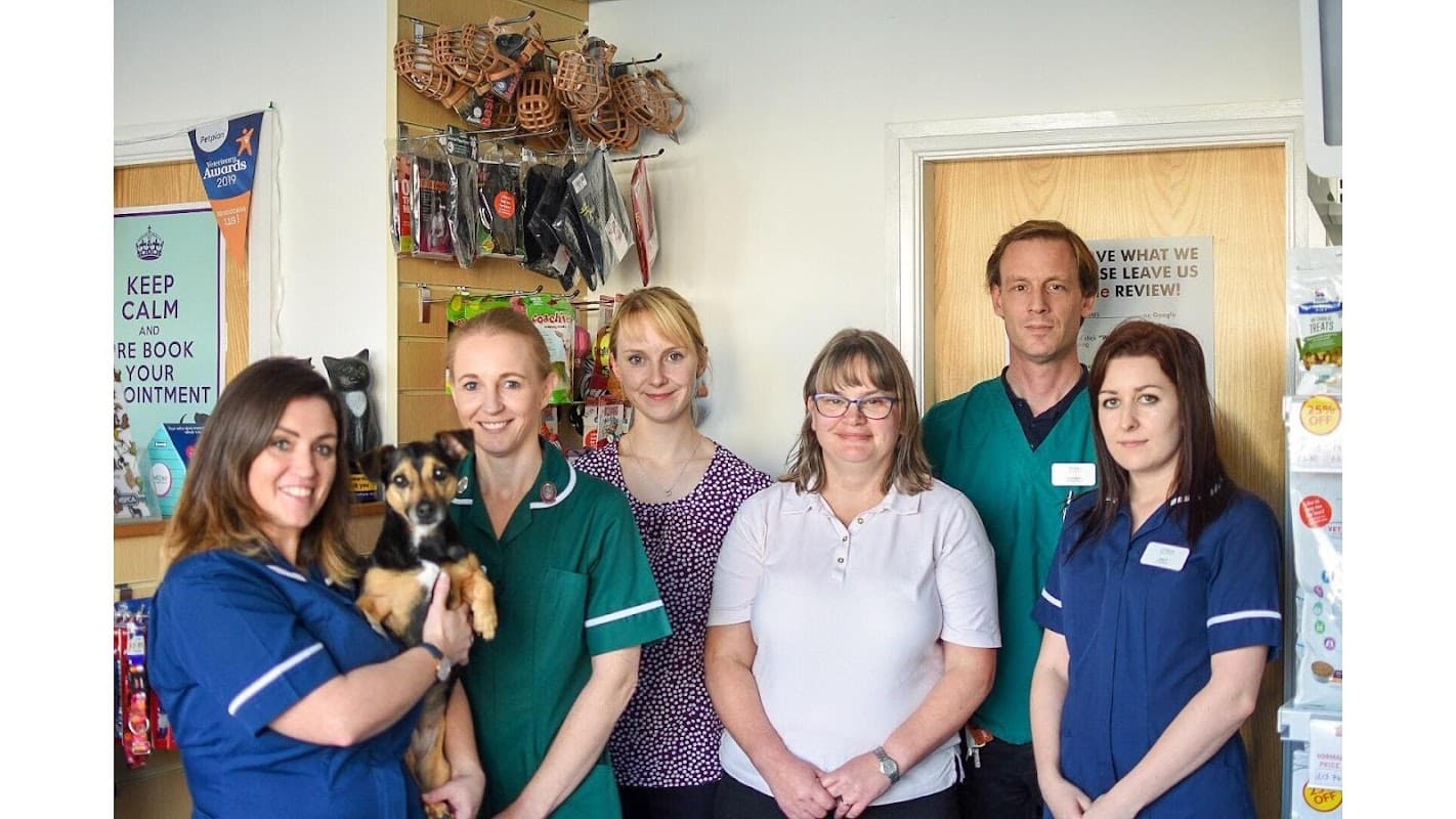 Priory Vets - Vets in bridlington