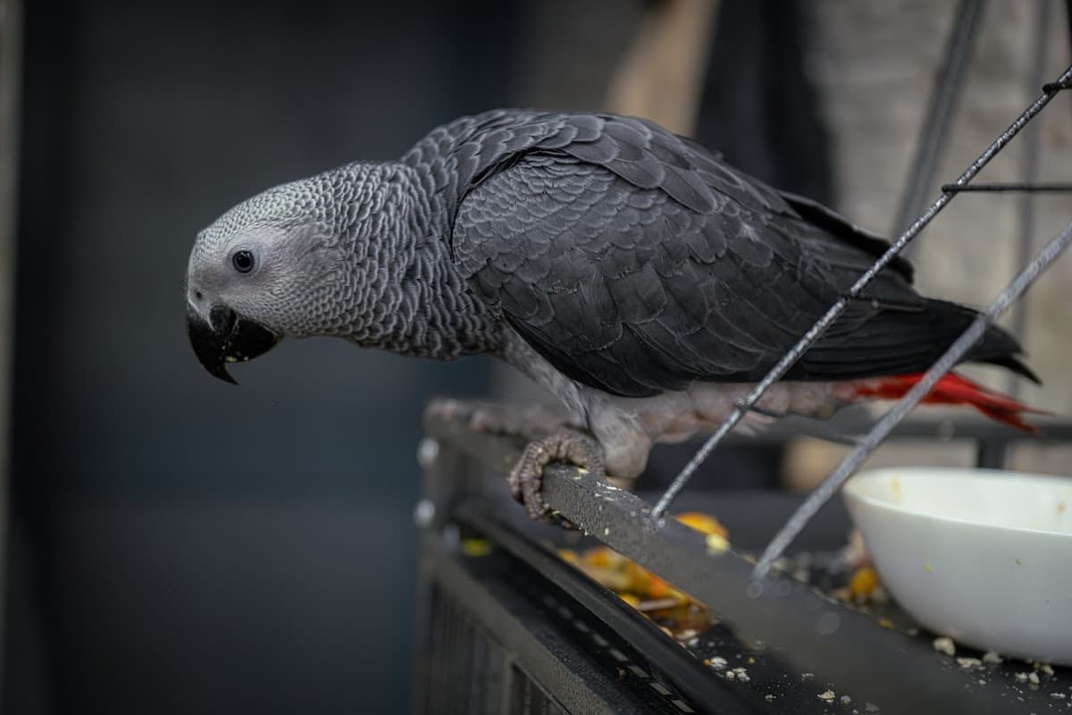 URBAN STYLE Modern Turkish Barber - Barbers in bridlington