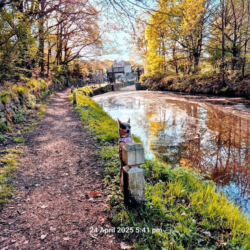 Kirklees Top Lock 14