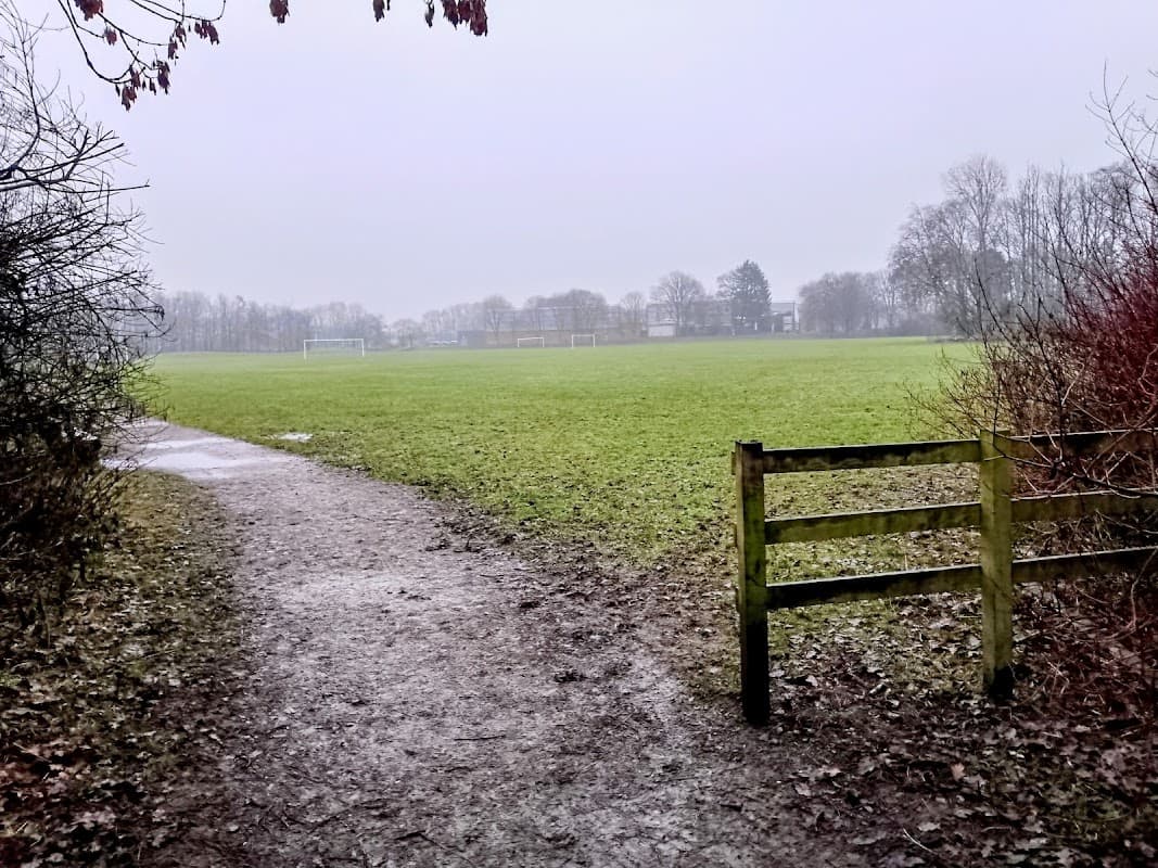 A grassy field with a muddy pathway and a wooden gate, surrounded by trees under a cloudy sky.