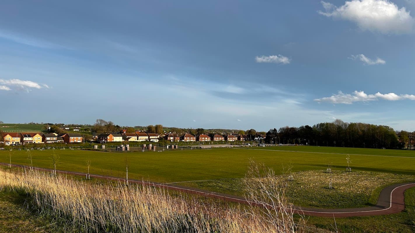 Expansive green sports field with goalposts, surrounded by residential buildings and trees under a clear blue sky.