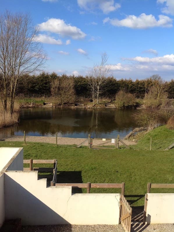 Cottage apartments overlook a fishing lake surrounded by greenery and trees under a blue sky with fluffy clouds.