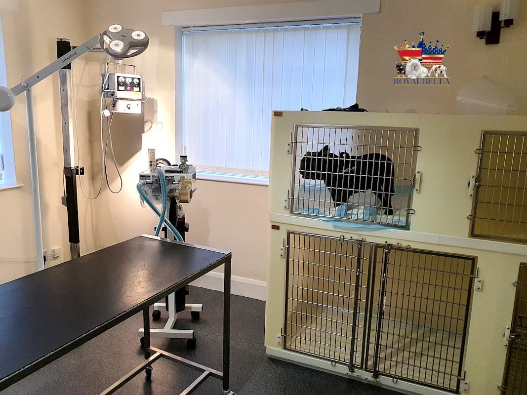 Archway Veterinary Practice - Vets in brough