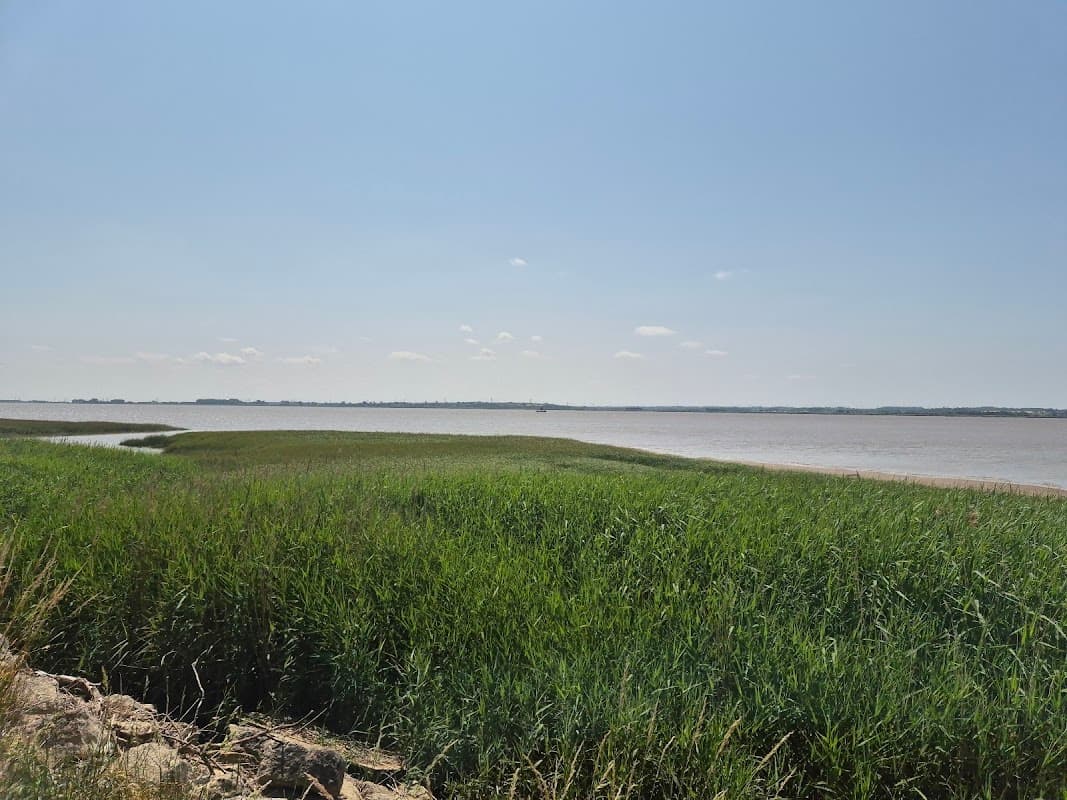Expansive view of a river with grassy banks under a clear blue sky at Brough Haven View Point.