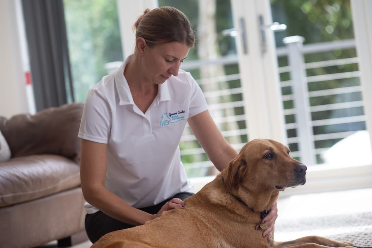 G Coates Animal Physiotherapy - Physiotherapists in brough