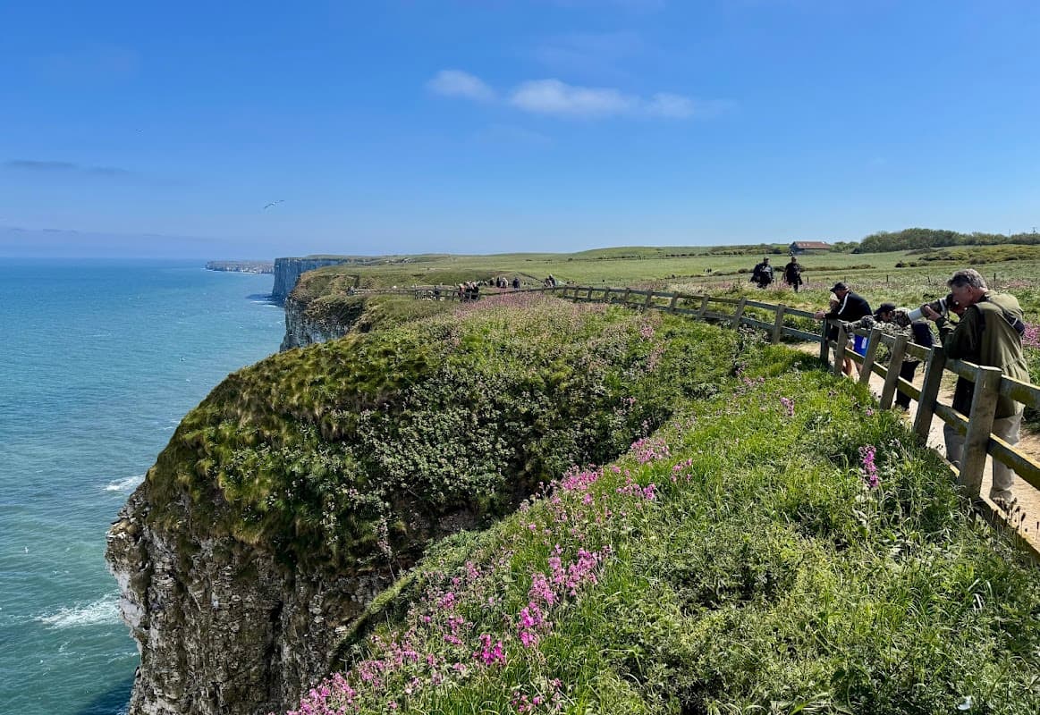 Clifftop view at Jubilee Corner with vibrant flowers, people walking along the path, and the sea in the background.